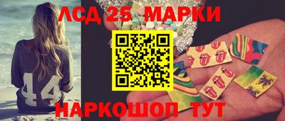 гашик Можга