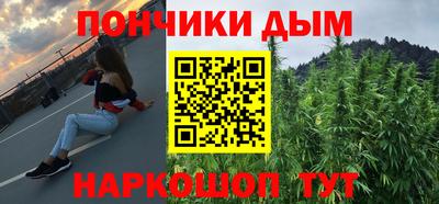 гашик Можга