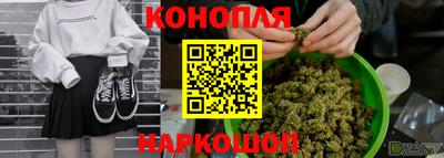 гашик Можга