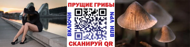ОМГ ОМГ как зайти  Протвино  Псилоцибиновые грибы мухоморы 