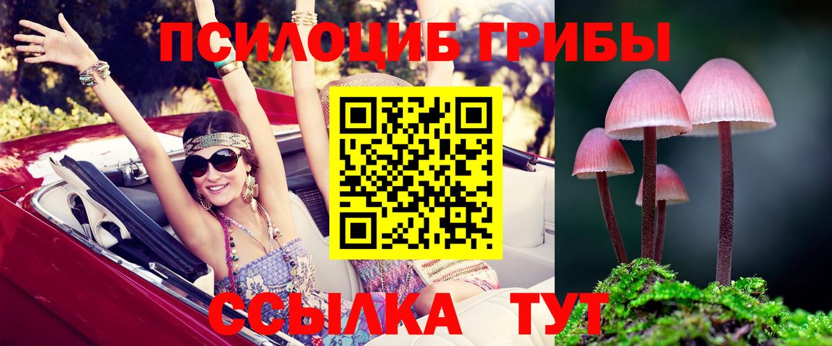 Галлюциногенные грибы Magic Shrooms Протвино
