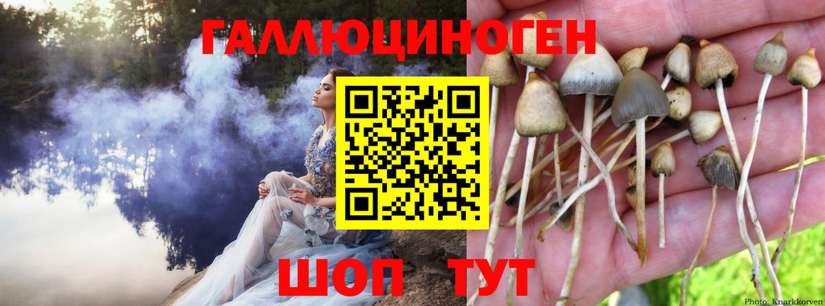 Протвино  Псилоцибиновые грибы прущие грибы  Вход с VPN  Псилоцибиновые грибы Magic Shrooms 